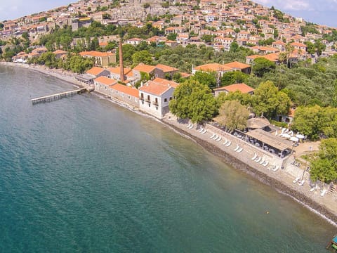 Staff, Restaurant/places to eat, Day, People, Bird's eye view, Summer, Garden, Banquet/Function facilities, Beach, On site, City view, Garden view, Mountain view, Pool view, Sea view, Family