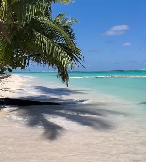 Nearby landmark, Day, Natural landscape, Beach