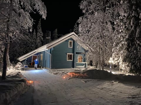 Property building, Night, Natural landscape, Winter