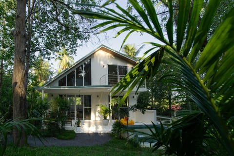 Property building, Garden view