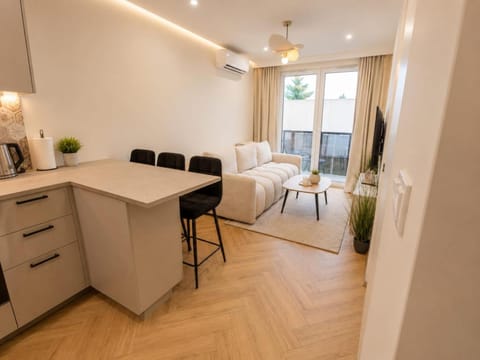 Kitchen or kitchenette, Living room, Dining area, air conditioner