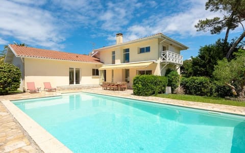 Garden, Pool view, Swimming pool, sunbed