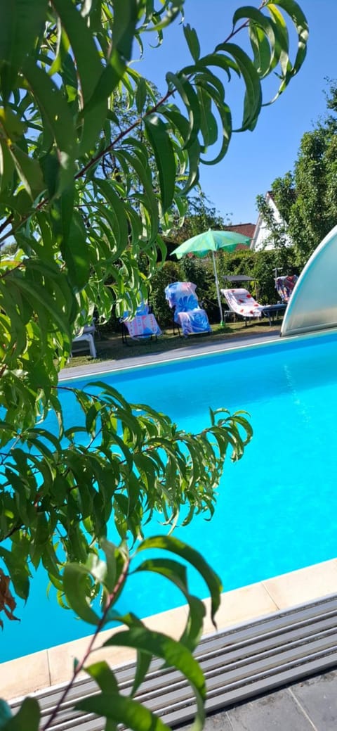 Garden, Swimming pool