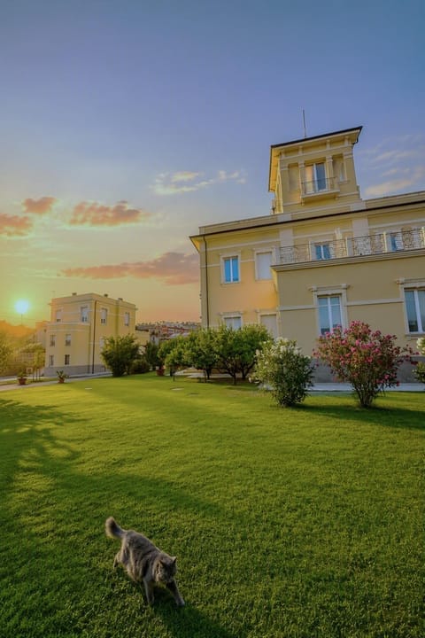 Property view