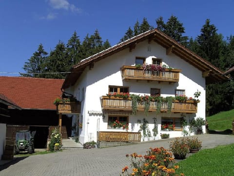 Property building, Spring