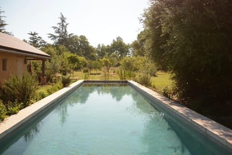 Day, Garden, Swimming pool, Swimming pool