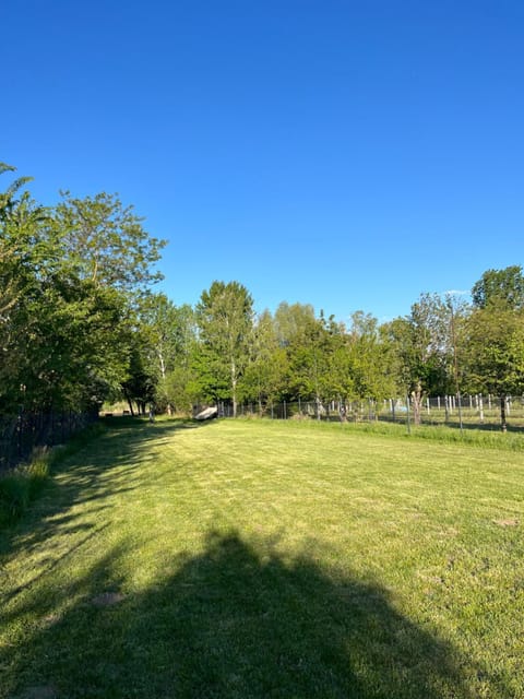 Natural landscape, Garden, Garden, Garden view