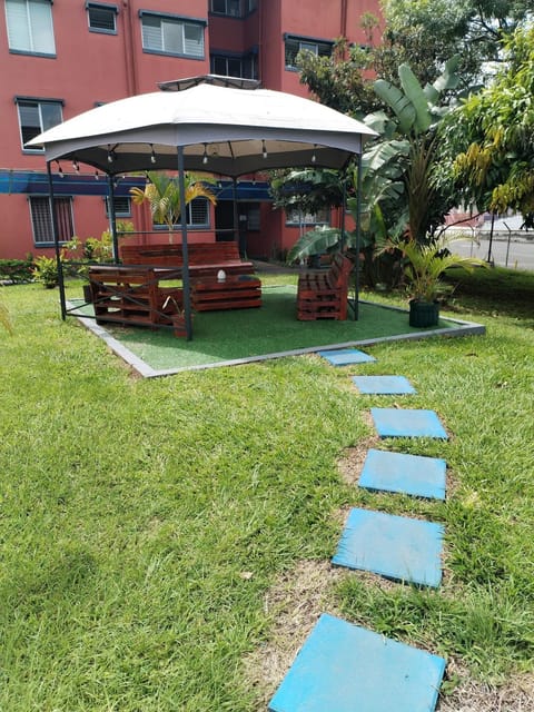 Garden view
