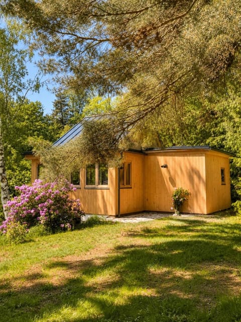 Property building, Natural landscape, Garden view