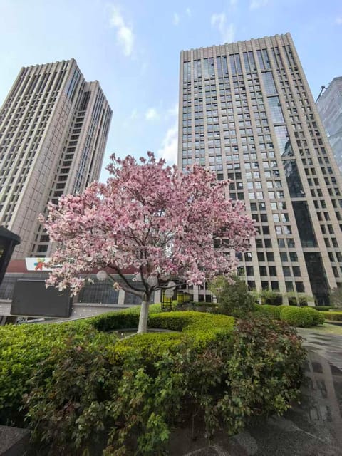 View (from property/room), Landmark view