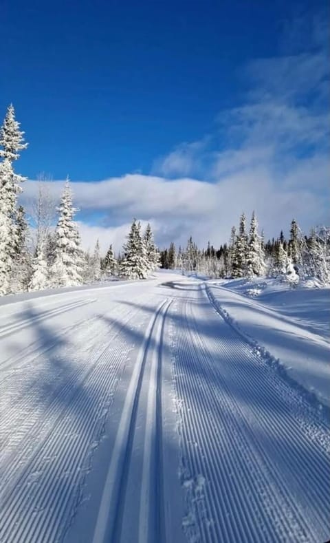 Winter