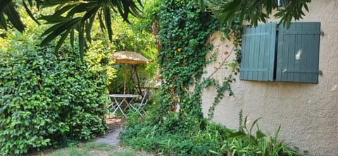 Patio, Garden, Garden view