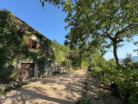 Property building, Day, Natural landscape, Garden view