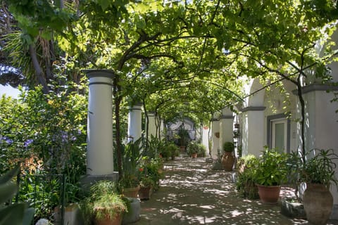 Elisir B&B Bed and Breakfast in Anacapri