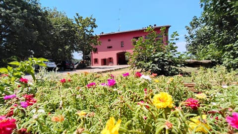 Property building, Garden, Garden view