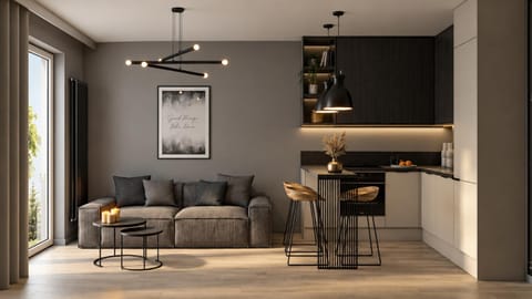 Kitchen or kitchenette, Living room