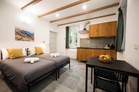 Bed, Kitchen or kitchenette, Living room