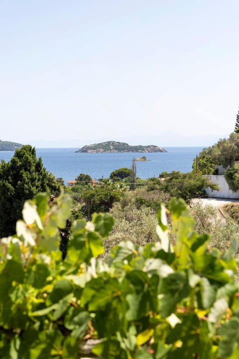Natural landscape, Sea view, Sea view