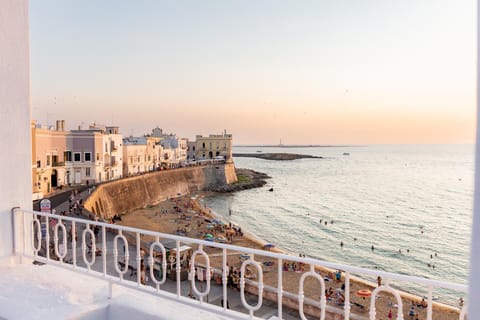 City view, Sea view