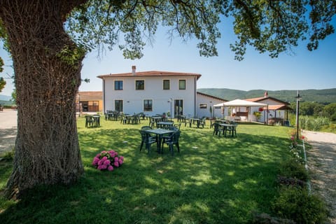 Spring, Garden, Garden view