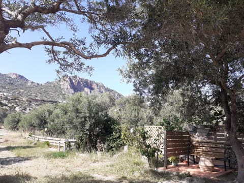 Property building, Mountain view, Location