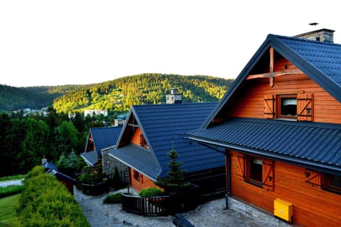 Bird's eye view, Summer