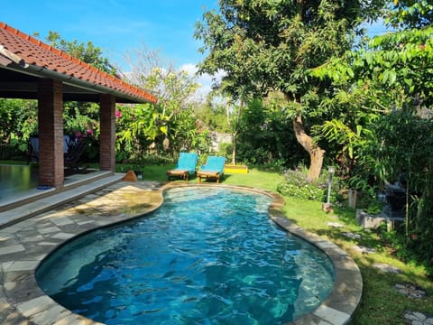 Garden, Garden view, Pool view, Swimming pool, sunbed
