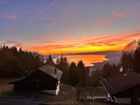 Lake view