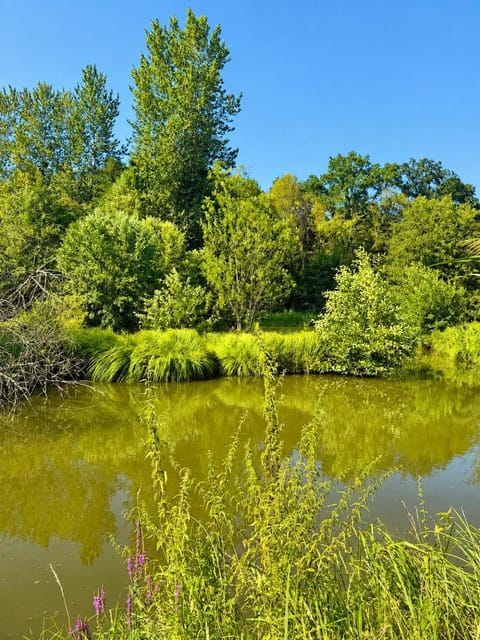 Spring, Day, Natural landscape, Lake view, River view