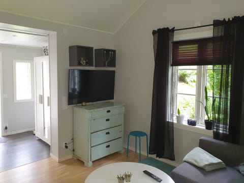Communal lounge/ TV room, TV and multimedia