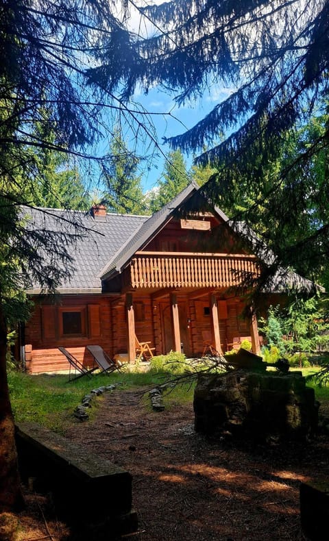Property building, Natural landscape, Garden