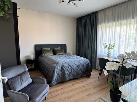 Bed, Seating area, Bedroom