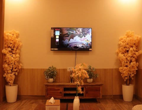 TV and multimedia, Evening entertainment