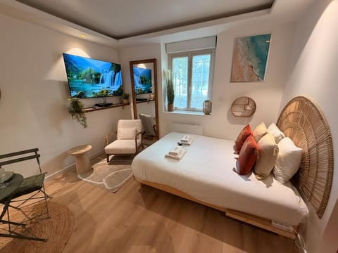 Bed, TV and multimedia, Living room, Photo of the whole room, Seating area, Bedroom