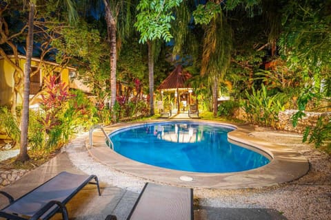 Night, Garden, Swimming pool