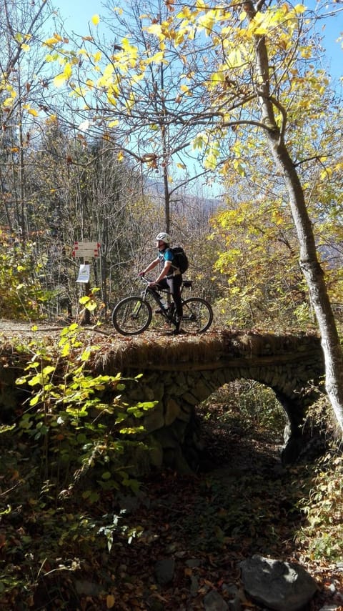 Campeggio Valle Gesso Campground/ 
RV Resort in Piedmont