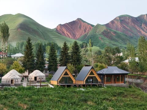 Property view
