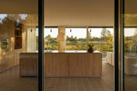 Natural landscape, Kitchen or kitchenette
