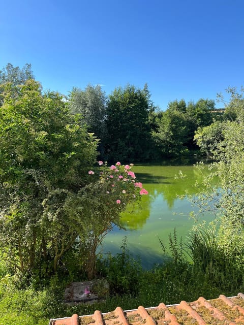 Fishing, Garden, Garden view