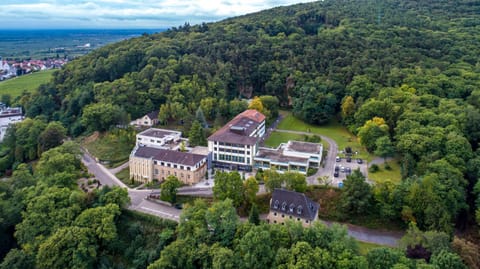 Property building, Bird's eye view