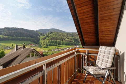 Haus Herbert Panter Apartment in Ortenau