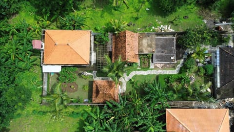 Property building, Natural landscape, Garden view