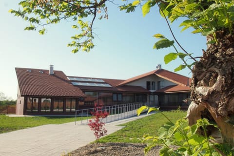 Property building, Day, Garden