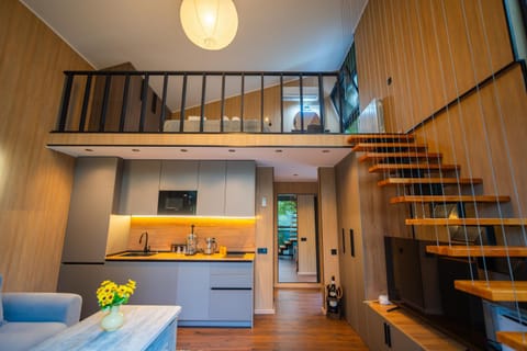 Kitchen or kitchenette, Living room, minibar