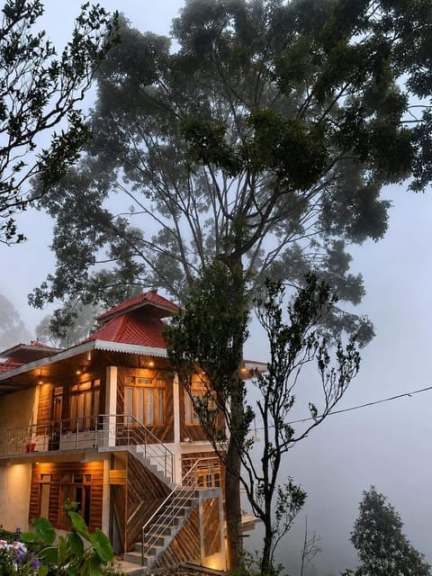 Property building, Day