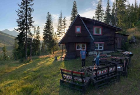 Property view