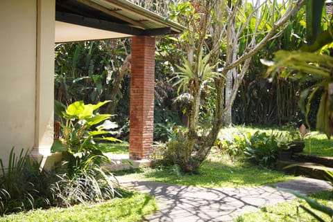 Garden, Inner courtyard view