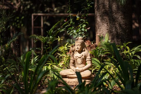 Natural landscape, Garden, Garden view