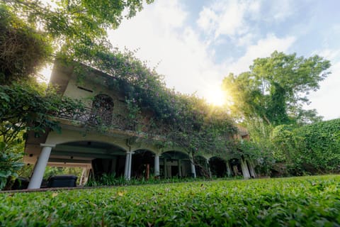 Garden, Garden