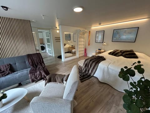 Bed, Living room, Photo of the whole room, Seating area